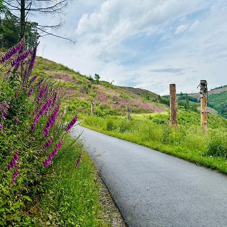 Traumwohnung Mit Sauna, Whirlpool & Wunderschoener Aussicht Plettenberg Exteriör bild